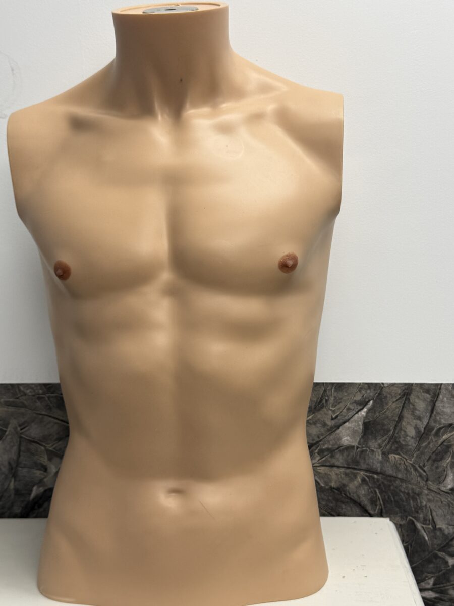 Prothèses aréolaires posées sur un buste de présentation homme